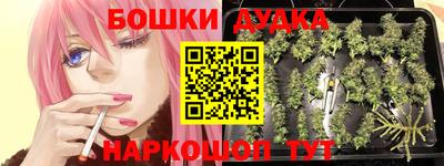 spice Мариинск