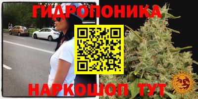 spice Мариинск