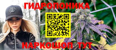 spice Мариинск