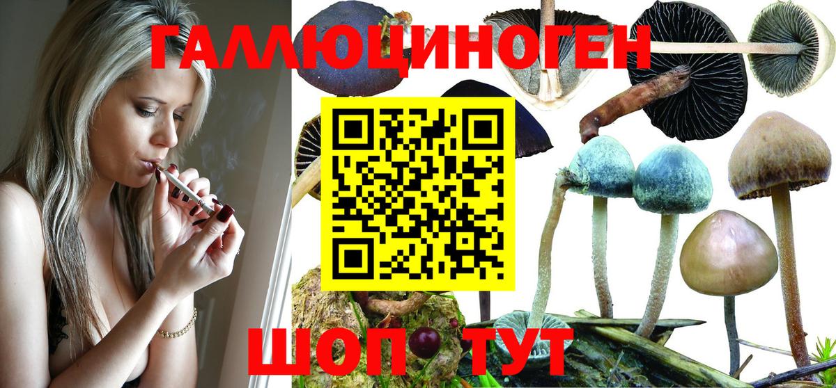 Иваново  Псилоцибиновые грибы Magic Shrooms  Вход с VPN 