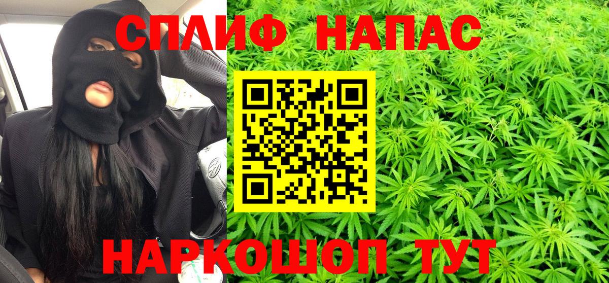 Шишки марихуана марихуана  Бошки марихуана план  Иваново  Вход с VPN  Марихуана VHQ 